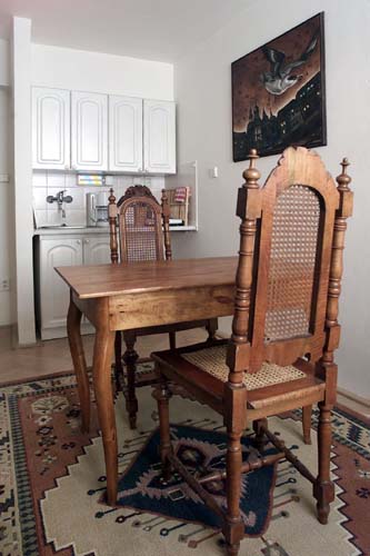 Kitchen of Vlasska 7, an apartment in Prague. Accommodation in Prague offered by Prague Accommodations, apartments in Prague.