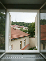 A Great View
