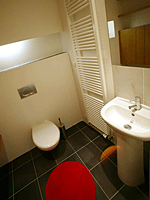 The Spare toilet