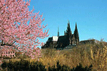 View of the Prague Castle