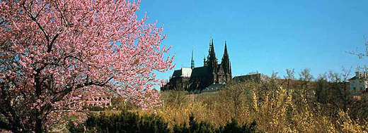 Prague Castle and St. Vitus Cathedral above Prague’s Mala Strana. Accommodation in Prague offered by Prague Accommodations, apartments in Prague.